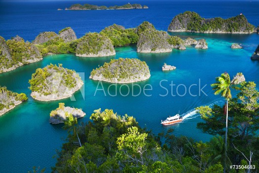 Picture of Fam islands Wayang Indonesia